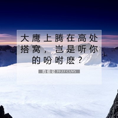 Picture 07 - 约 伯 记 39:27 CUVS - 大 鹰 上 腾 在 高 处 搭 窝 ， 岂 是 - Bible Verse Picture