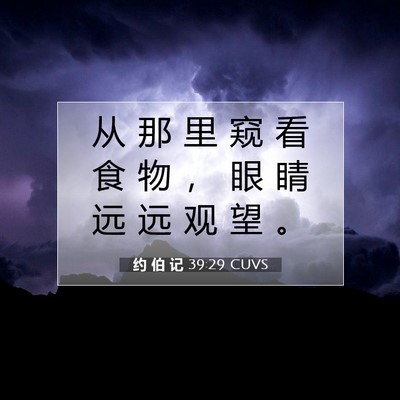 Picture 07 - 约 伯 记 39:29 CUVS - 从 那 里 窥 看 食 物 ， 眼 睛 远 远 - Bible Verse Picture