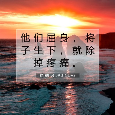 Picture 07 - 约 伯 记 39:3 CUVS - 他 们 屈 身 ， 将 子 生 下 ， 就 除 - Bible Verse Picture