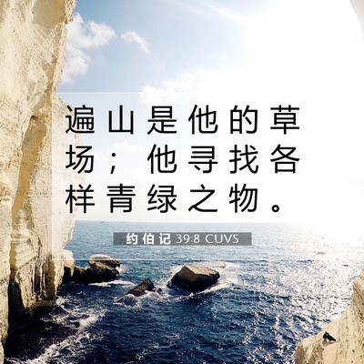 Picture 07 - 约 伯 记 39:8 CUVS - 遍 山 是 他 的 草 场 ； 他 寻 找 各 - Bible Verse Picture