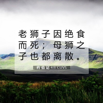 Picture 07 - 约 伯 记 4:11 CUVS - 老 狮 子 因 绝 食 而 死 ； 母 狮 之 - Bible Verse Picture