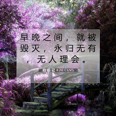Picture 07 - 约 伯 记 4:20 CUVS - 早 晚 之 间 ， 就 被 毁 灭 ， 永 归 - Bible Verse Picture
