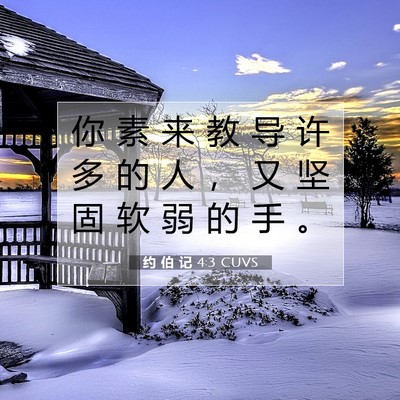 Picture 07 - 约 伯 记 4:3 CUVS - 你 素 来 教 导 许 多 的 人 ， 又 坚 - Bible Verse Picture