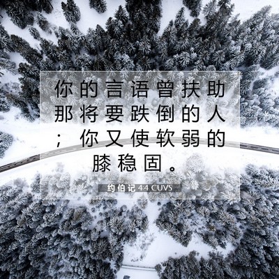 Picture 07 - 约 伯 记 4:4 CUVS - 你 的 言 语 曾 扶 助 那 将 要 跌 倒 - Bible Verse Picture