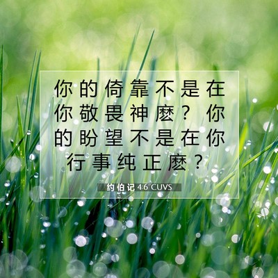 Picture 07 - 约 伯 记 4:6 CUVS - 你 的 倚 靠 不 是 在 你 敬 畏 神 麽 - Bible Verse Picture