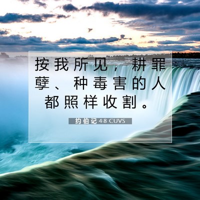 Picture 07 - 约 伯 记 4:8 CUVS - 按 我 所 见 ， 耕 罪 孽 、 种 毒 害 - Bible Verse Picture