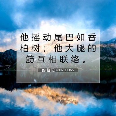 Picture 07 - 约 伯 记 40:17 CUVS - 他 摇 动 尾 巴 如 香 柏 树 ； 他 大 - Bible Verse Picture