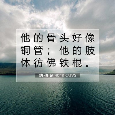 Picture 07 - 约 伯 记 40:18 CUVS - 他 的 骨 头 好 像 铜 管 ； 他 的 肢 - Bible Verse Picture