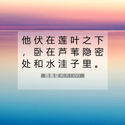 Picture 07 - 约 伯 记 40:21 CUVS - 他 伏 在 莲 叶 之 下 ， 卧 在 芦 苇 - Bible Verse Picture