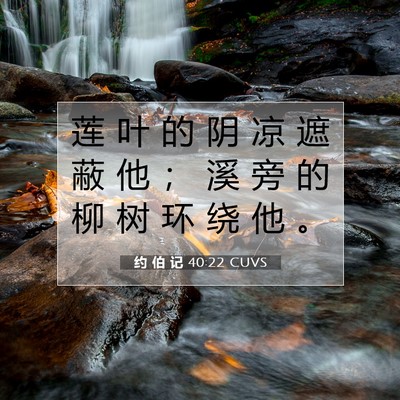 Picture 07 - 约 伯 记 40:22 CUVS - 莲 叶 的 阴 凉 遮 蔽 他 ； 溪 旁 的 - Bible Verse Picture