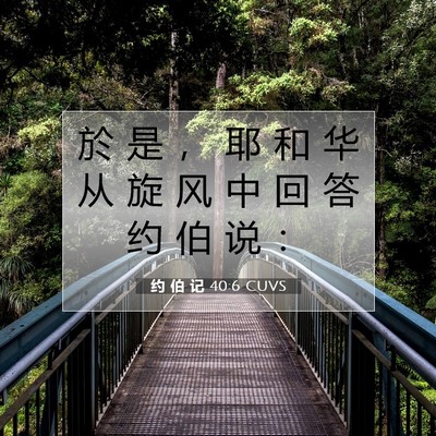 Picture 07 - 约 伯 记 40:6 CUVS - 於 是 ， 耶 和 华 从 旋 风 中 回 答 - Bible Verse Picture