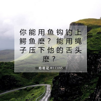 Picture 07 - 约 伯 记 41:1 CUVS - 你 能 用 鱼 钩 钓 上 鳄 鱼 麽 ？ 能 - Bible Verse Picture