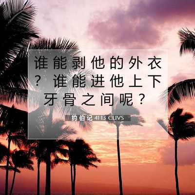 Picture 07 - 约 伯 记 41:13 CUVS - 谁 能 剥 他 的 外 衣 ？ 谁 能 进 他 - Bible Verse Picture