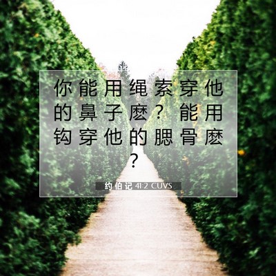 Picture 07 - 约 伯 记 41:2 CUVS - 你 能 用 绳 索 穿 他 的 鼻 子 麽 ？ - Bible Verse Picture