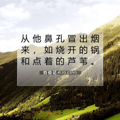 Picture 07 - 约 伯 记 41:20 CUVS - 从 他 鼻 孔 冒 出 烟 来 ， 如 烧 开 - Bible Verse Picture
