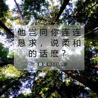 Picture 07 - 约 伯 记 41:3 CUVS - 他 岂 向 你 连 连 恳 求 ， 说 柔 和 - Bible Verse Picture