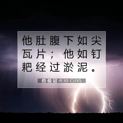 Picture 07 - 约 伯 记 41:30 CUVS - 他 肚 腹 下 如 尖 瓦 片 ； 他 如 钉 - Bible Verse Picture