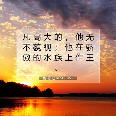 Picture 07 - 约 伯 记 41:34 CUVS - 凡 高 大 的 ， 他 无 不 藐 视 ； 他 - Bible Verse Picture
