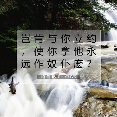Picture 07 - 约 伯 记 41:4 CUVS - 岂 肯 与 你 立 约 ， 使 你 拿 他 永 - Bible Verse Picture