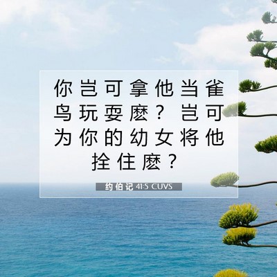 Picture 07 - 约 伯 记 41:5 CUVS - 你 岂 可 拿 他 当 雀 鸟 玩 耍 麽 ？ - Bible Verse Picture