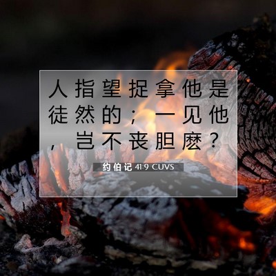 Picture 07 - 约 伯 记 41:9 CUVS - 人 指 望 捉 拿 他 是 徒 然 的 ； 一 - Bible Verse Picture