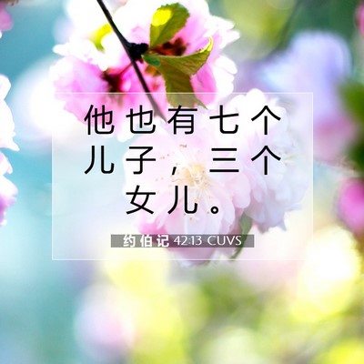 Picture 07 - 约 伯 记 42:13 CUVS - 他 也 有 七 个 儿 子 ， 三 个 女 儿 - Bible Verse Picture
