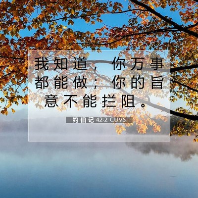 Picture 07 - 约 伯 记 42:2 CUVS - 我 知 道 ， 你 万 事 都 能 做 ； 你 - Bible Verse Picture