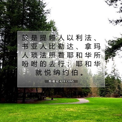 Picture 07 - 约 伯 记 42:9 CUVS - 於 是 提 幔 人 以 利 法 、 书 亚 人 - Bible Verse Picture