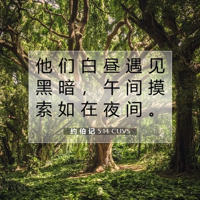 Picture 07 - 约 伯 记 5:14 CUVS - 他 们 白 昼 遇 见 黑 暗 ， 午 间 摸 - Bible Verse Picture