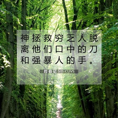 Picture 07 - 约 伯 记 5:15 CUVS - 神 拯 救 穷 乏 人 脱 离 他 们 口 中 - Bible Verse Picture