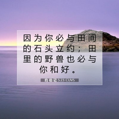 Picture 07 - 约 伯 记 5:23 CUVS - 因 为 你 必 与 田 间 的 石 头 立 约 - Bible Verse Picture