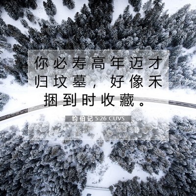 Picture 07 - 约 伯 记 5:26 CUVS - 你 必 寿 高 年 迈 才 归 坟 墓 ， 好 - Bible Verse Picture