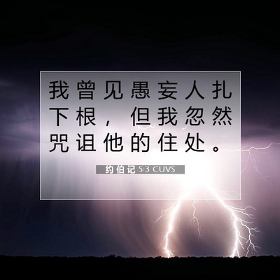 Picture 07 - 约 伯 记 5:3 CUVS - 我 曾 见 愚 妄 人 扎 下 根 ， 但 我 - Bible Verse Picture