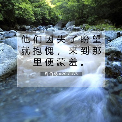 Picture 07 - 约 伯 记 6:20 CUVS - 他 们 因 失 了 盼 望 就 抱 愧 ， 来 - Bible Verse Picture