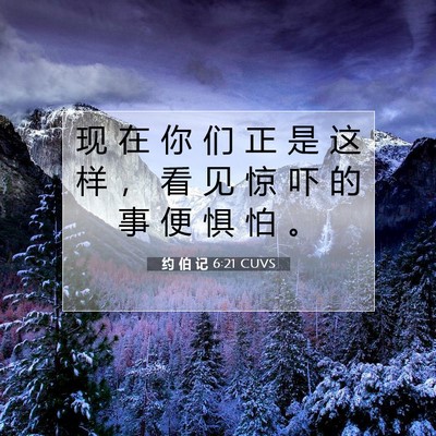 Picture 07 - 约 伯 记 6:21 CUVS - 现 在 你 们 正 是 这 样 ， 看 见 惊 - Bible Verse Picture