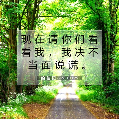 Picture 07 - 约 伯 记 6:28 CUVS - 现 在 请 你 们 看 看 我 ， 我 决 不 - Bible Verse Picture