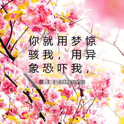 Picture 07 - 约 伯 记 7:14 CUVS - 你 就 用 梦 惊 骇 我 ， 用 异 象 恐 - Bible Verse Picture
