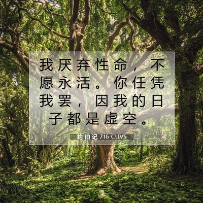 Picture 07 - 约 伯 记 7:16 CUVS - 我 厌 弃 性 命 ， 不 愿 永 活 。 你 - Bible Verse Picture