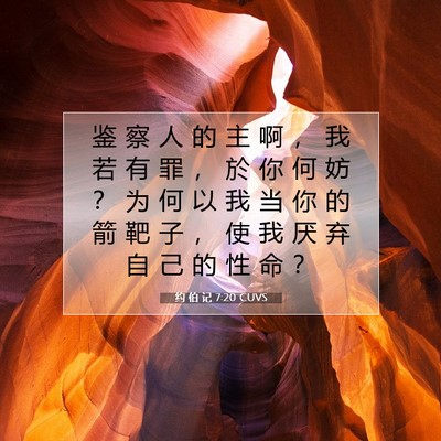 Picture 07 - 约 伯 记 7:20 CUVS - 鉴 察 人 的 主 啊 ， 我 若 有 罪 ， - Bible Verse Picture