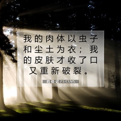 Picture 07 - 约 伯 记 7:5 CUVS - 我 的 肉 体 以 虫 子 和 尘 土 为 衣 - Bible Verse Picture