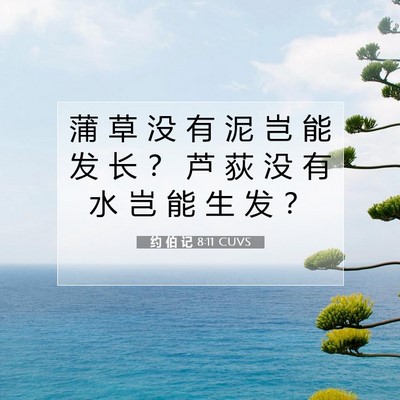 Picture 07 - 约 伯 记 8:11 CUVS - 蒲 草 没 有 泥 岂 能 发 长 ？ 芦 荻 - Bible Verse Picture