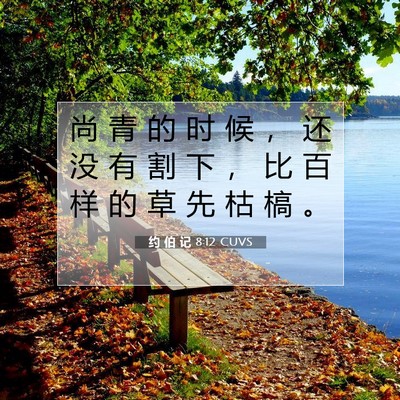 Picture 07 - 约 伯 记 8:12 CUVS - 尚 青 的 时 候 ， 还 没 有 割 下 ， - Bible Verse Picture