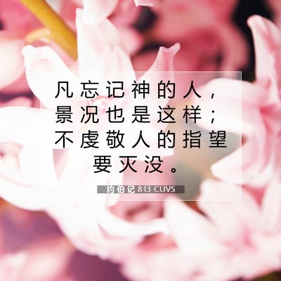 Picture 07 - 约 伯 记 8:13 CUVS - 凡 忘 记 神 的 人 ， 景 况 也 是 这 - Bible Verse Picture