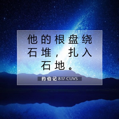 Picture 07 - 约 伯 记 8:17 CUVS - 他 的 根 盘 绕 石 堆 ， 扎 入 石 地 - Bible Verse Picture