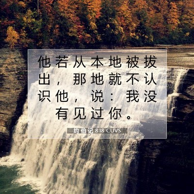 Picture 07 - 约 伯 记 8:18 CUVS - 他 若 从 本 地 被 拔 出 ， 那 地 就 - Bible Verse Picture