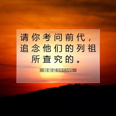 Picture 07 - 约 伯 记 8:8 CUVS - 请 你 考 问 前 代 ， 追 念 他 们 的 - Bible Verse Picture