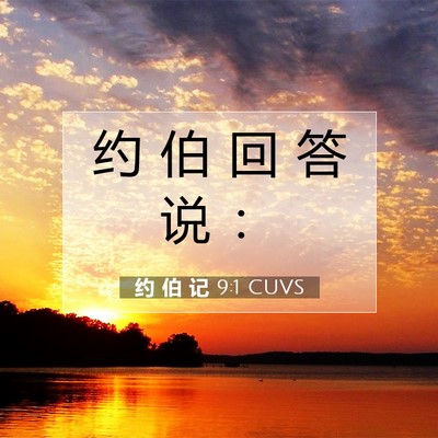 Picture 07 - 约 伯 记 9:1 CUVS - 约 伯 回 答 说 - Bible Verse Picture
