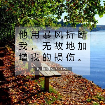 Picture 07 - 约 伯 记 9:17 CUVS - 他 用 暴 风 折 断 我 ， 无 故 地 加 - Bible Verse Picture