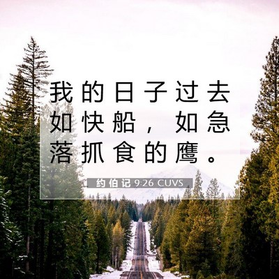 Picture 07 - 约 伯 记 9:26 CUVS - 我 的 日 子 过 去 如 快 船 ， 如 急 - Bible Verse Picture