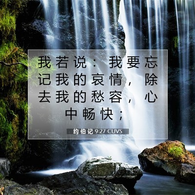 Picture 07 - 约 伯 记 9:27 CUVS - 我 若 说 ： 我 要 忘 记 我 的 哀 情 - Bible Verse Picture